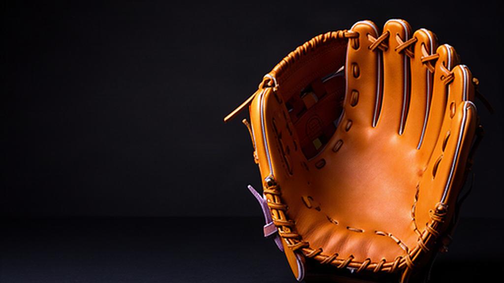 職人が手縫いしたプロフェッショナル野球グローブのヒーロー画像